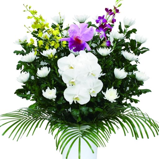 葛飾区メモリーホーム新小岩の白い小菊に加え、胡蝶蘭と紫の花、黄色い小花をあしらった供花。豪華さと品位を兼ね備えたデザイン。