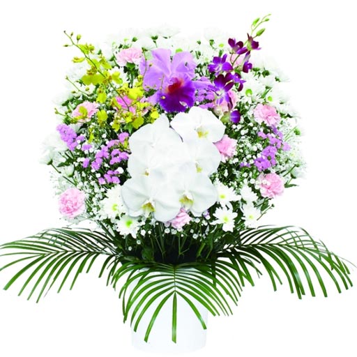 葛飾区メモリーホーム新小岩のピンクと白の花々に胡蝶蘭と紫の花を添えたエレガントな洋花アレンジメント。