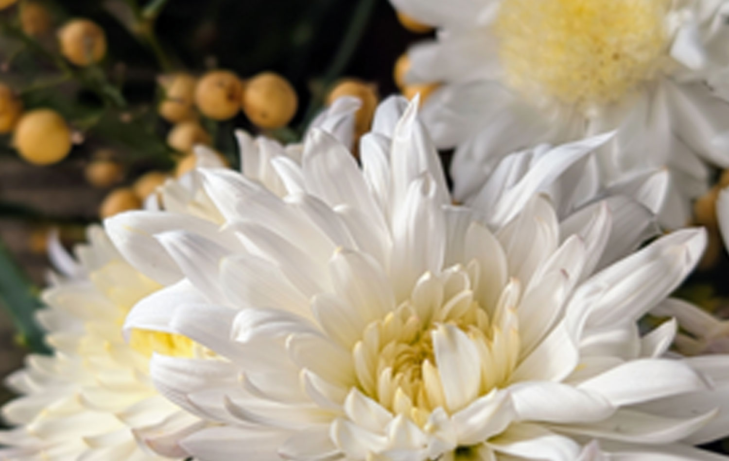 川越市の立ち華葬祭の