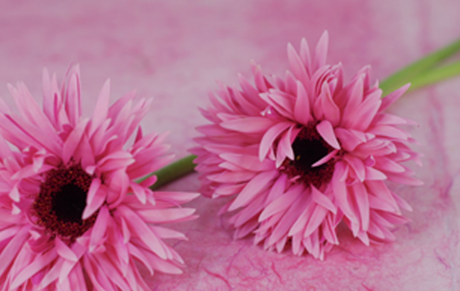 川越市の立ち華葬祭の火葬画像